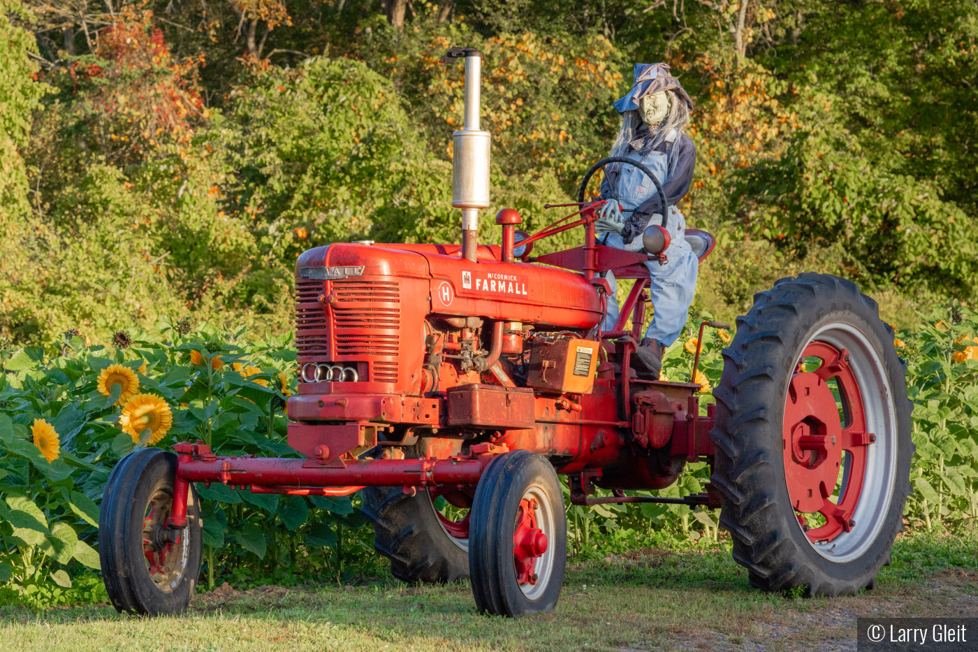 Witch Tractor by Larry Gleit