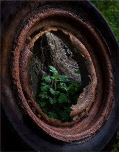 ... and Life Goes On - Photo by John Straub
