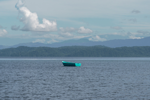 A Tranquil Costa Rican Morning - Photo by Alison Wilcox