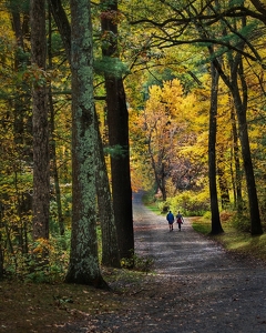 A Walk Into October - Photo by Dolores Brown