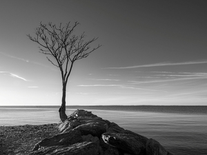 Class B 1st: Alone at the Shore by Anna Proczek