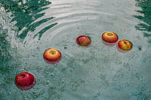 Apples Floating in a Pool - Photo by Jim Kahnweiler