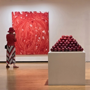 As Luck Would Have It! - Photo by Liz Borajkiewicz