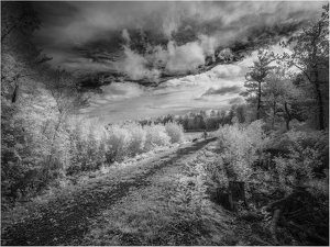 Class A HM: At Great Pond by Eric Lohse