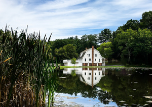 Beachland Park Reflection - Photo by Mark Tegtmeier