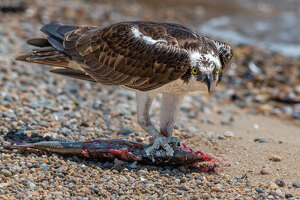 Salon 1st: Beat It by John Straub