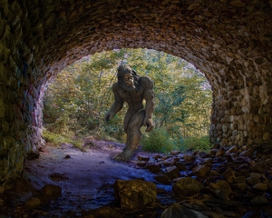 Big Foot is Coming - Photo by Dolores Brown