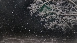 Blizzard At Night - Photo by Frank Stapleford