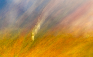 Blown Away By Autumn - Photo by Bob Ferrante