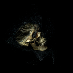 Salon 1st: Blown away by Richard Busch