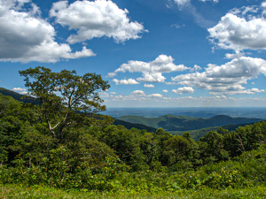 Blue Ridge Parkway - Photo by David Hughes