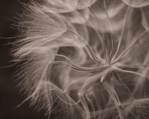 Centrifuge - Photo by Quannah Leonard