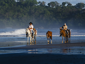 Class B 2nd: Coastal Cowboys by Lisa Willsey