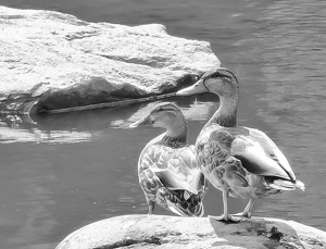 Colebrook Reservoir - Photo by David Hughes