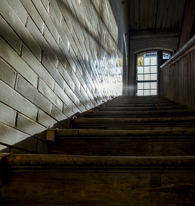 Come to the Light - Photo by Nancy Schumann