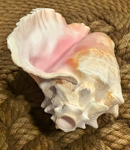 Conch Trumpet's Mouthpiece - Photo by Louis Arthur Norton