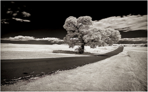 Country Road - Photo by Eric Lohse