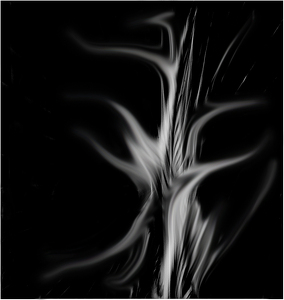 Dancing Light - Photo by Alene Galin