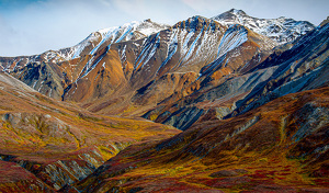 Class A HM: Denali Delight by Linda Fickinger