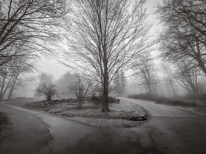Dennis Hill - Photo by John Parisi