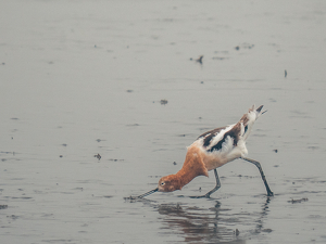 Dinner in Delaware - Photo by Ben Parisi