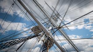 Dizzying Heights - Photo by Bill Payne