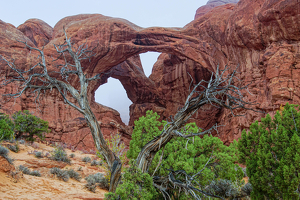 Double Arch - Arches National Park - Photo by Jim Patrina