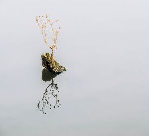 Echo in Silence - Photo by Anna Proczek