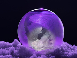 Class A HM: Elegant Frost by Mark Tegtmeier