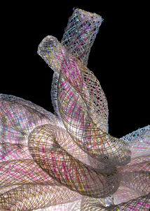 Class A HM: Entangled by Janice Oliveri