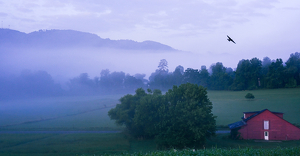 Evening Mist - Photo by Leslie Caromile