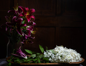 Class B 2nd: Evening Sonata in Crimson and White by Amy Keith