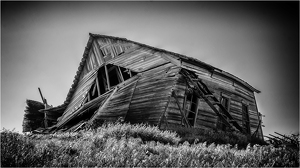 Falling - Photo by Alene Galin