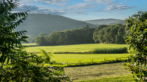 Fields, Old Farms Road, Simsbury, CT - Photo by Jim Kahnweiler