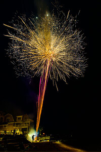 Fireworks Fool Revealed - Photo by John Straub