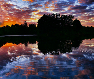 Fisher Meadow Dusk - Photo by Janice Oliveri