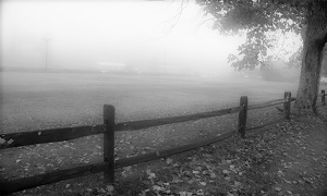 Fog over Ethel Walker - Photo by David Robbins