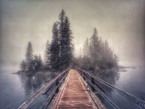 Class B 2nd: Fogbound Crossing by Amy Keith