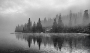 Class A HM: Foggy Lakeshore Sunrise by Nancy Schumann