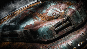 Salon 2nd: Ford by Bill Payne