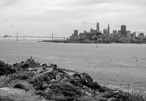 Freedom Across the Bay - Photo by Quannah Leonard