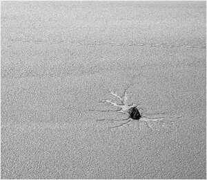 Frozen Rock Star - Photo by John Straub