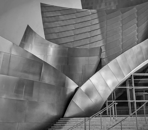 Class A HM: Gehry's Disney Concert Hall by Janice Oliveri
