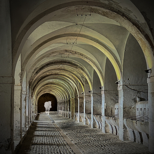 Class A 1st: Ghost in the Roman Stable by Eric Wolfe