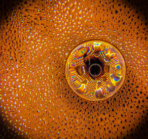 Class B 1st: Glass Ball in Lightbox by Frank Stapleford