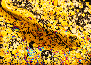 Salon 2nd: Groovy ( not an Acid Flashback ) by Richard Busch