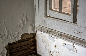 Handyman Wanted - Photo by Alene Galin