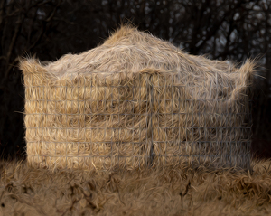 Haystack - Photo by Kevin Hulse