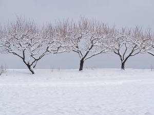Held in Silence - Photo by Anna Proczek