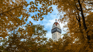 Heublein Tower Through the Canopy - Photo by Bill Payne